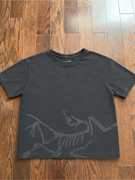 Arc'teryx Tops - Arcteryx Graphic T-Shirt
